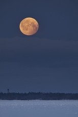 Superkuu Kuuskajaskarin yllä 21.01.2019