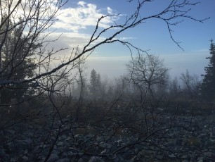 Sumuinen maisema aamulla